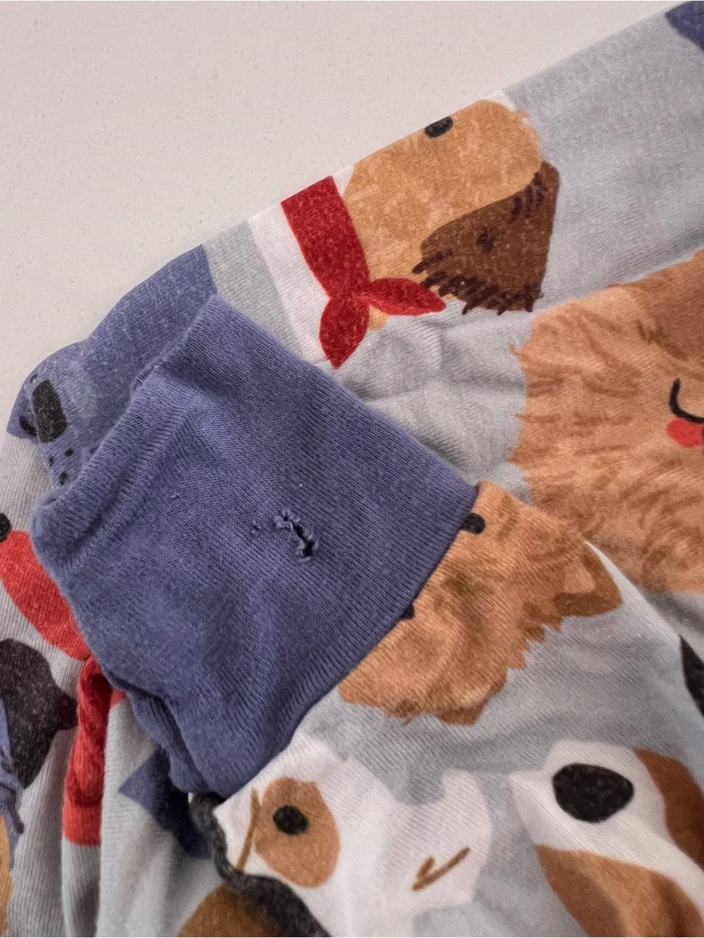 Little Sleepies Puppy Parade Two Piece Pajama Set